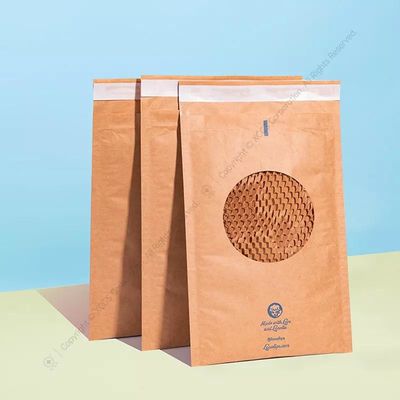 Enveloppes de publipostage en papier kraft capitonné Sacs biodégradables SGS Kraft