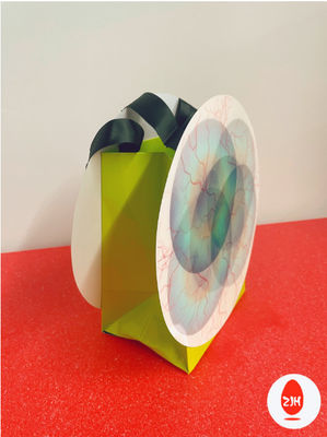 200gsm de luxe Art Paper Shopping Paper Bags avec tordu et arc